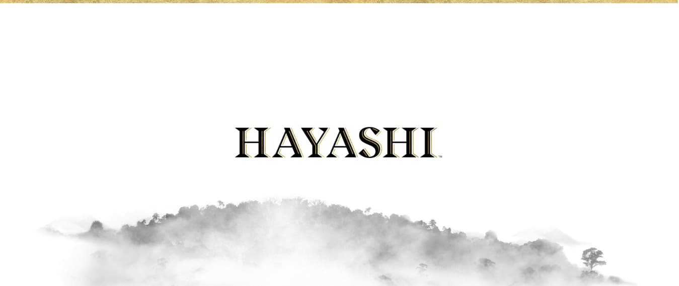 Understanding the Vision